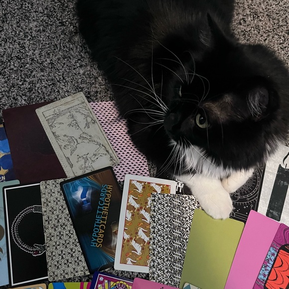 Meet your Posher, Lexi - Picture 2 of 3